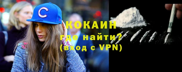 гашик Алексин