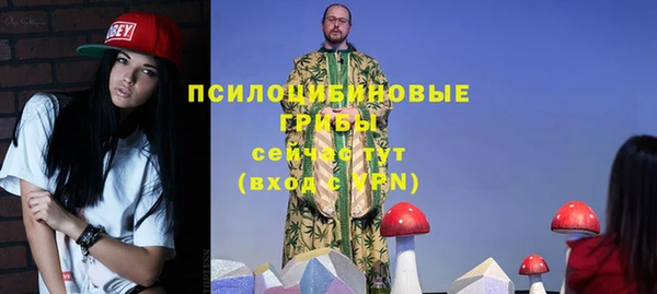 дурь Магас