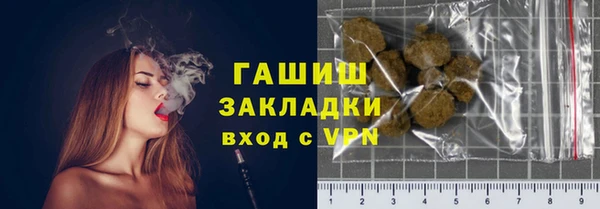 гашик Алексин