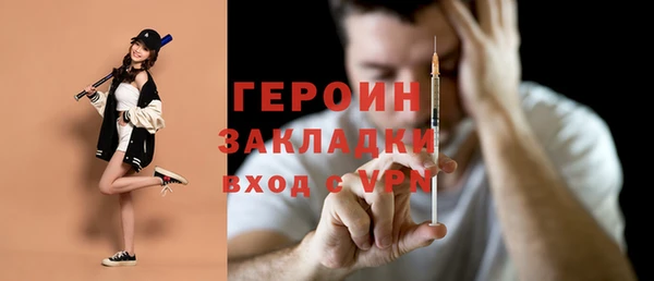 гашик Алексин