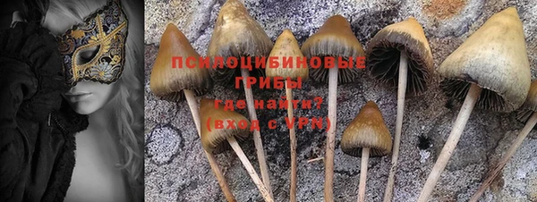 прущая мука Алзамай
