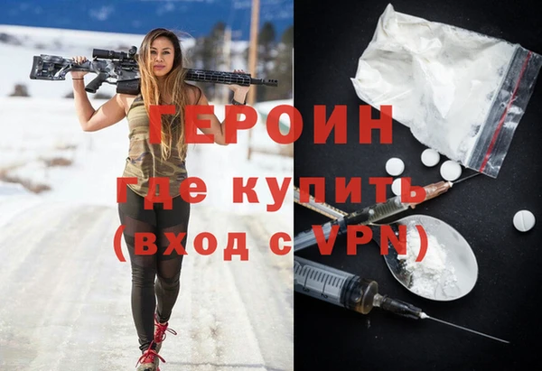 гашик Алексин