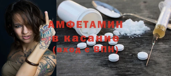 гашик Алексин